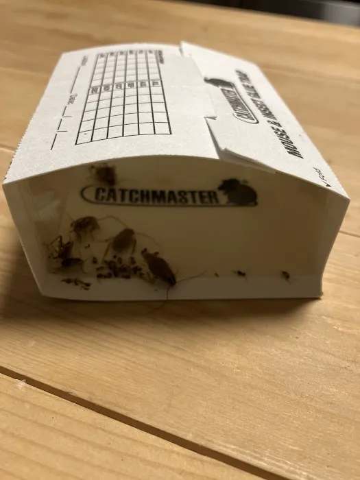 Massey Services Pest Control Picture 2