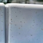 Mar-Von Pest Control Co LLC