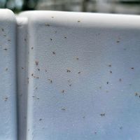 Mar-Von Pest Control Co LLC ico