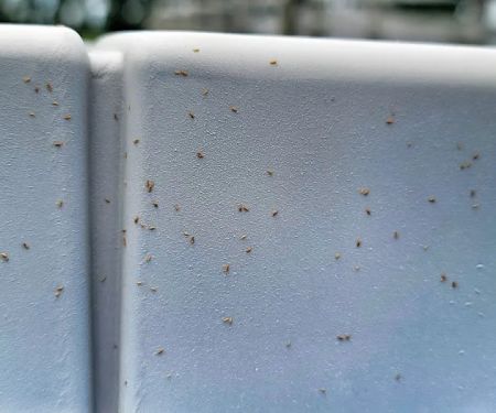 Mar-Von Pest Control Co LLC