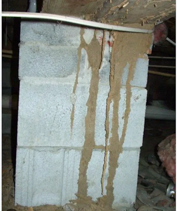Hiwassee Pest Control LLC Picture 9