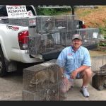 Wildlife Technicians