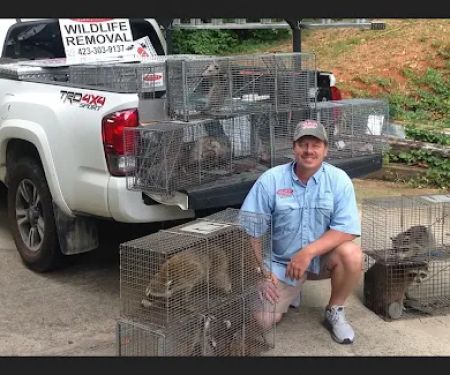 Wildlife Technicians