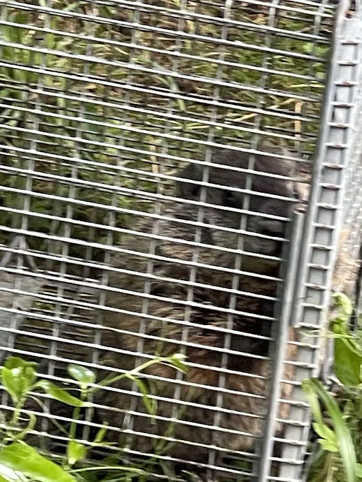 Wildlife Technicians Picture 9