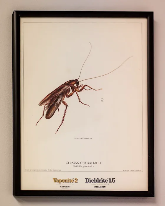 Massey Services Pest Control Picture 4