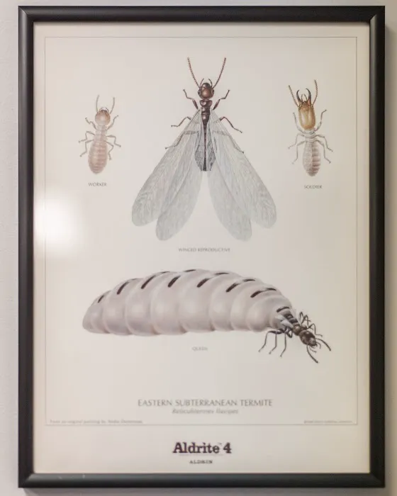 Massey Services Pest Control Picture 2