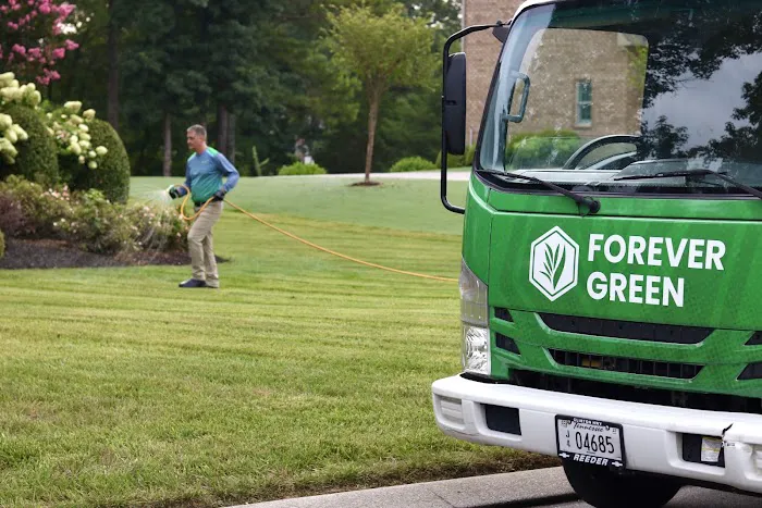 Forever Green of East Tennessee Picture 5
