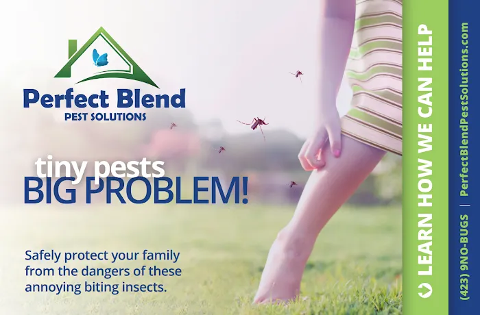 Perfect Blend Pest Solutions Picture 8