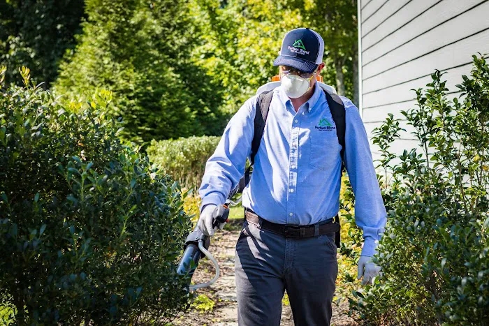 Perfect Blend Pest Solutions Picture 4