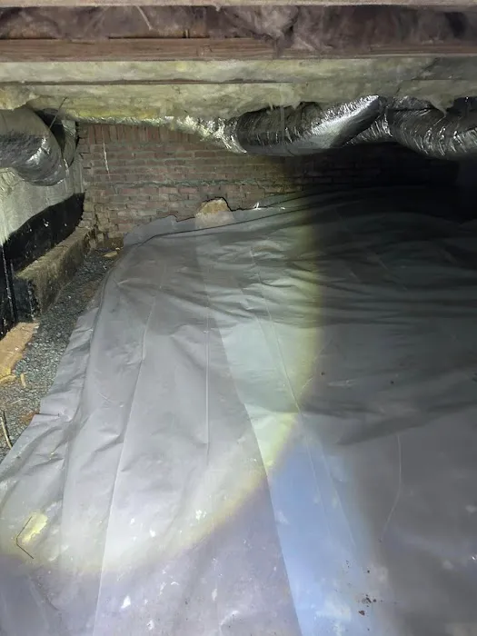 Pestmaster Services of Athens Picture 3