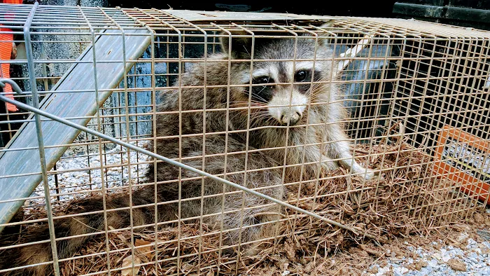 Local Wildlife Experts of Athens Picture 1