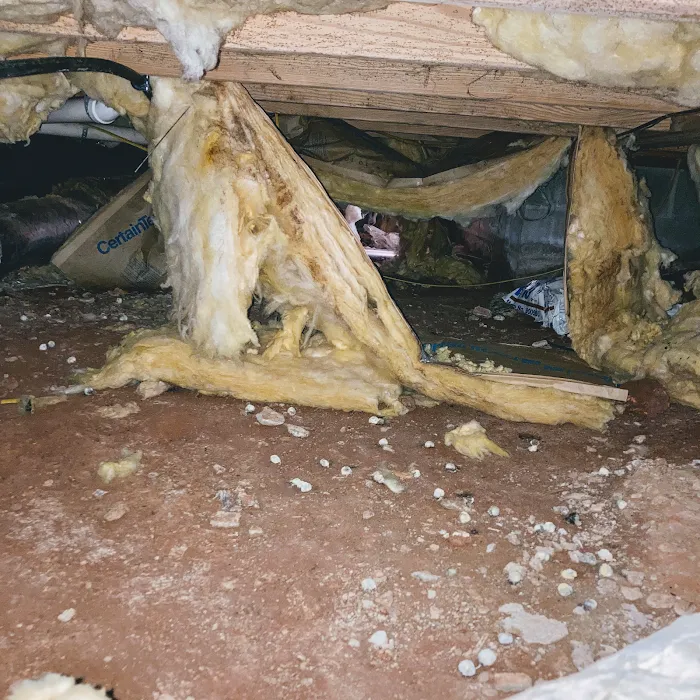 Local Wildlife Experts of Athens Picture 10