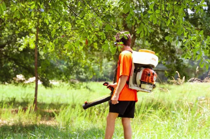Spray Squad Pest Control Picture 4