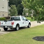 Bizzy Bee Exterminators
