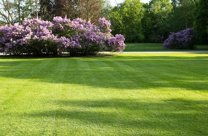 Houseman Services Picture 10