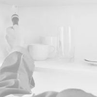 Houseman Services ico