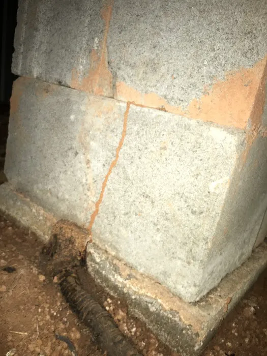 Global Pest Management-Suwanee Picture 1