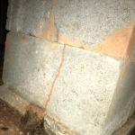 Global Pest Management-Suwanee