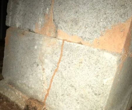 Global Pest Management-Suwanee