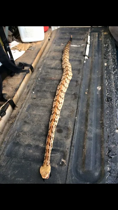 Global Pest Management-Suwanee Picture 5