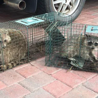 Total Animal Control Picture 3
