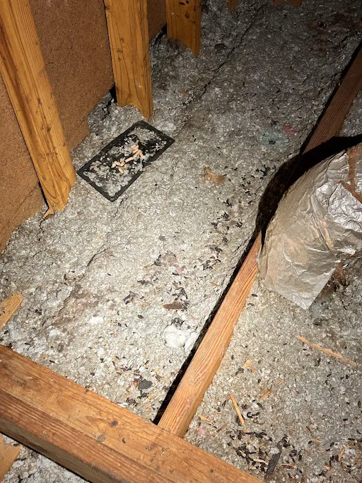 Noble Pest Services Picture 3