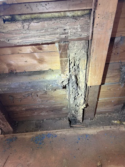 Noble Pest Services Picture 4
