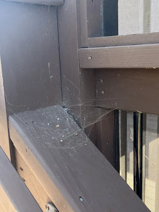 Massey Services Pest Control Picture 6