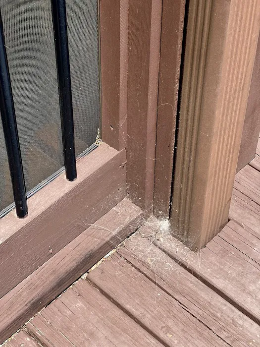 Massey Services Pest Control Picture 4