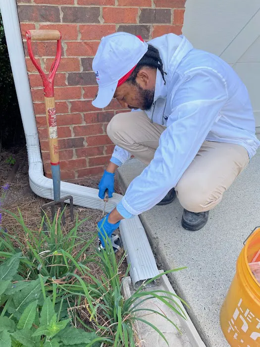 Lookout Pest Control Picture 6