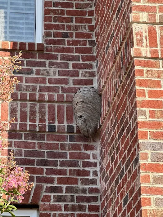 Lookout Pest Control Picture 10