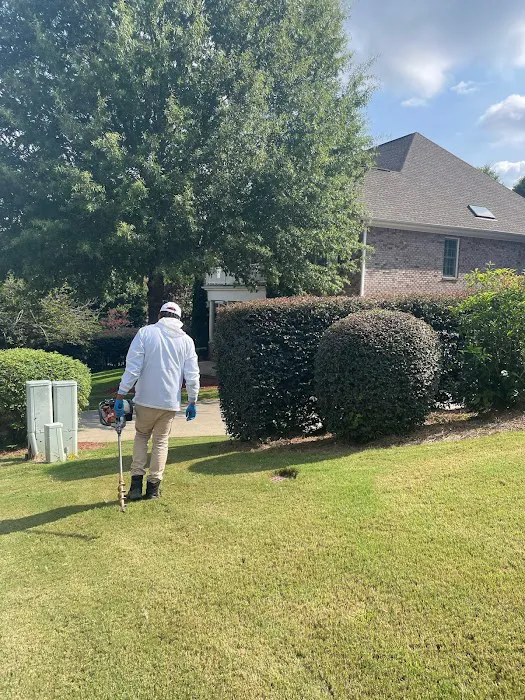 Lookout Pest Control Picture 8