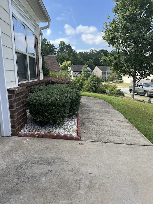 North Fulton Pest Solutions Picture 3