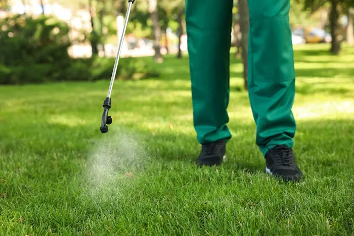 Covenant Pest Services Picture 6