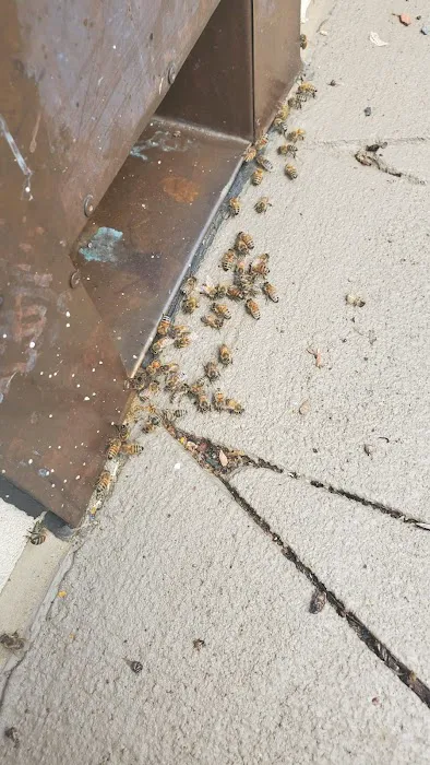 Do Or Die Pest Control Picture 2