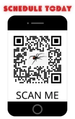 Do Or Die Pest Control Picture 10