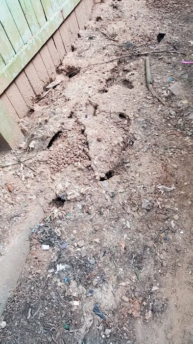Do Or Die Pest Control Picture 9