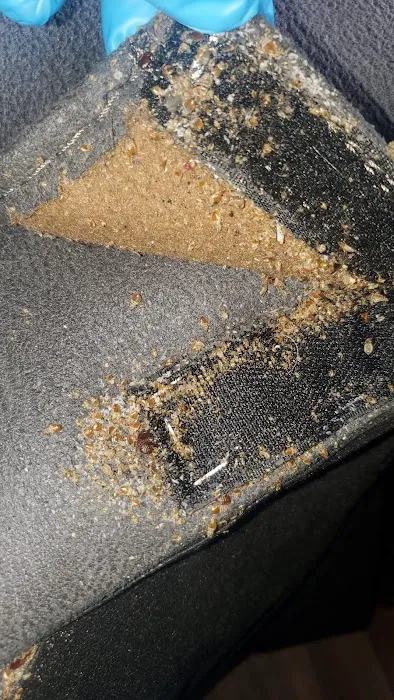 Do Or Die Pest Control Picture 8