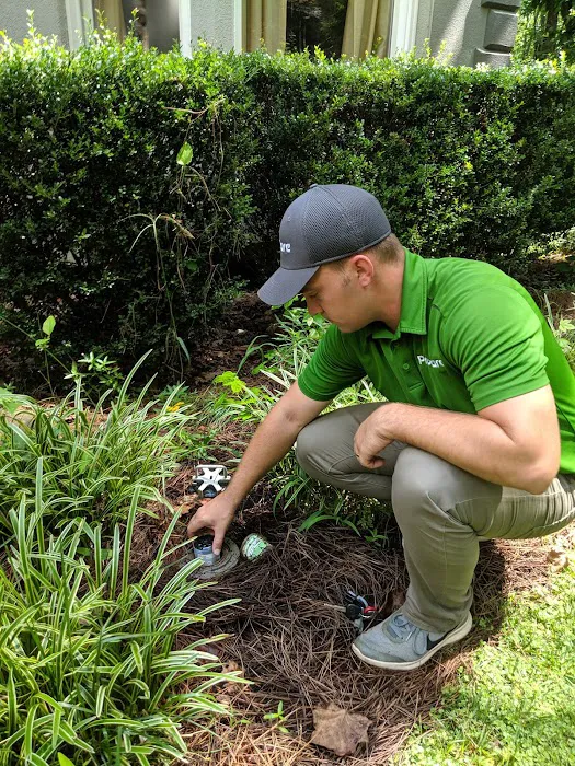 Procare Pest Services Picture 10