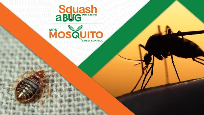 Squash A Bug Picture 5