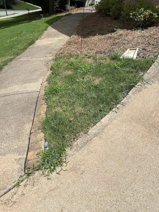 Top Turf Lawn Care and Pest Management Picture 10