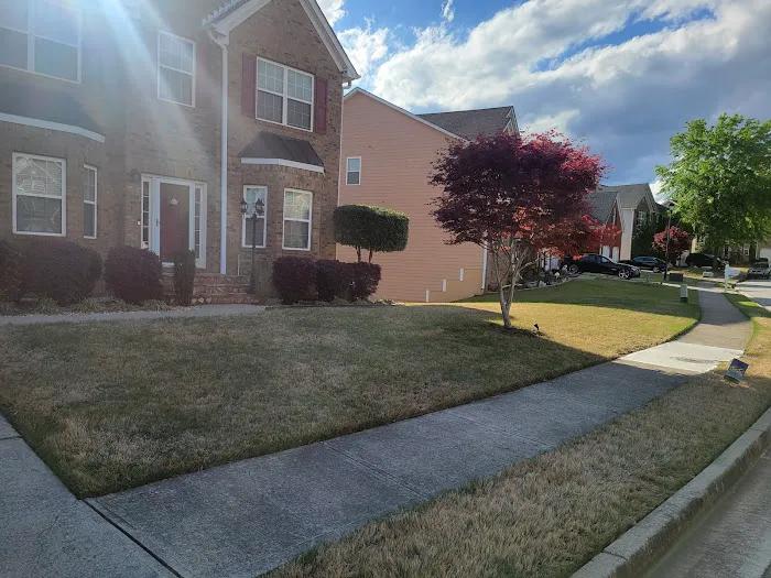 Top Turf Lawn Care and Pest Management Picture 4