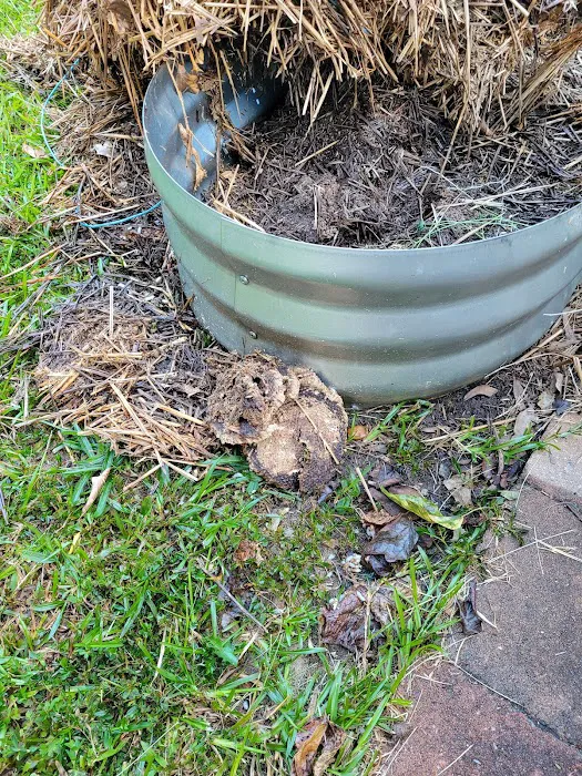 VerdX Pest Control Picture 3