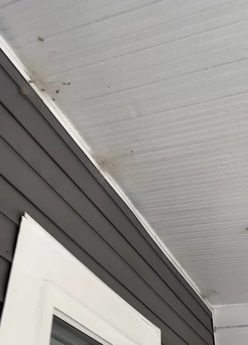 Lookout Pest Control Picture 1