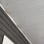 Lookout Pest Control