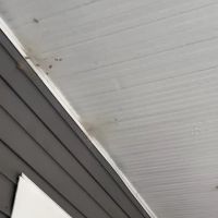 Lookout Pest Control ico