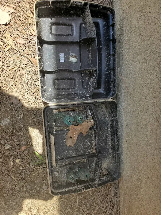 Lookout Pest Control Picture 5