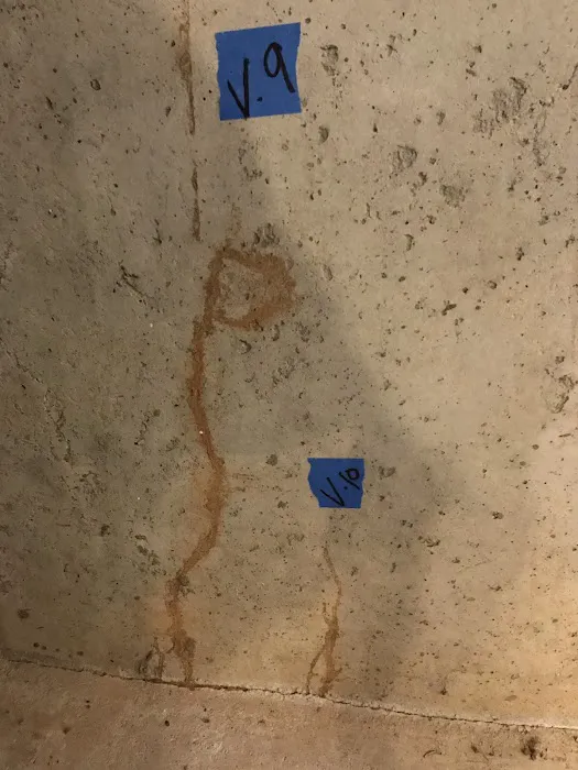 All Pro Pest Services, Inc. Picture 4