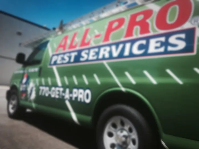 All Pro Pest Services, Inc. Picture 6