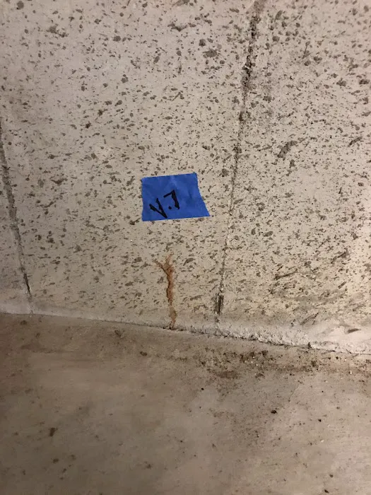 All Pro Pest Services, Inc. Picture 5